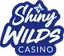 shiny wilds